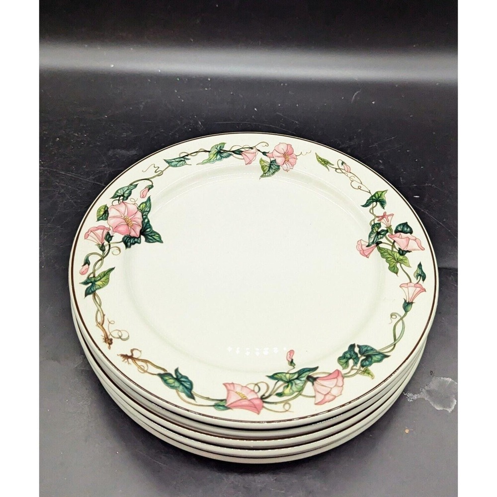 Set/6 Vintage Villeroy + Bach Palmero 9.5" Luncheon Plate Pink Flower Floral